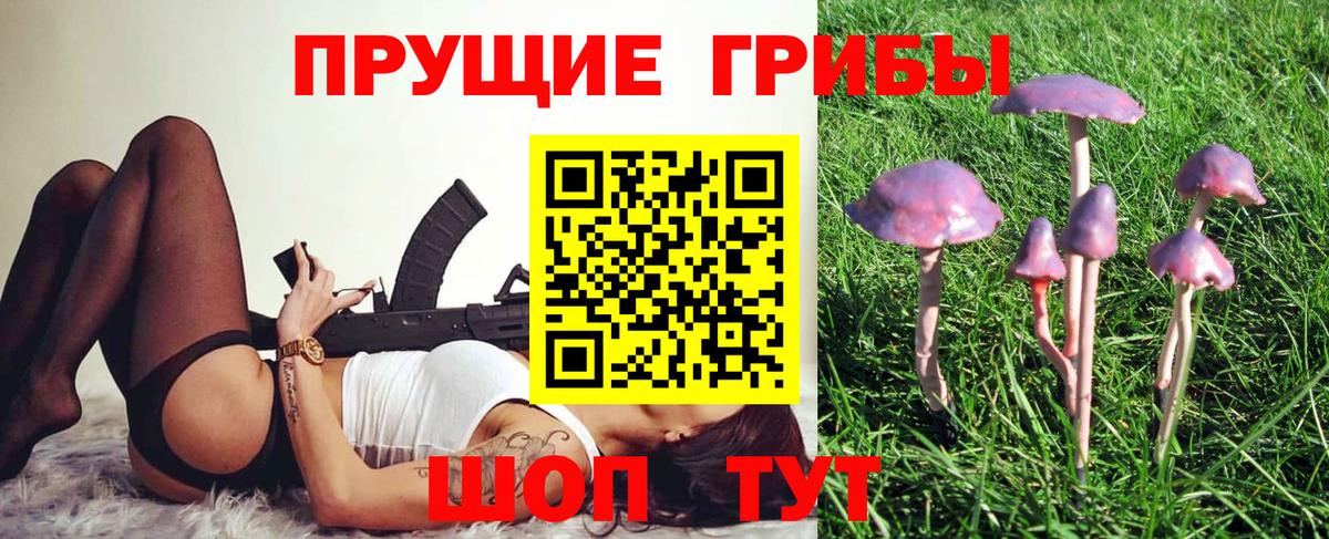 Галлюциногенные грибы MAGIC MUSHROOMS Дмитров
