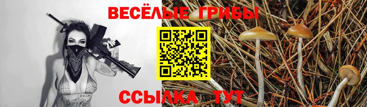 Галлюциногенные грибы мицелий  Галлюциногенные грибы мицелий  Дмитров  Вход с VPN 